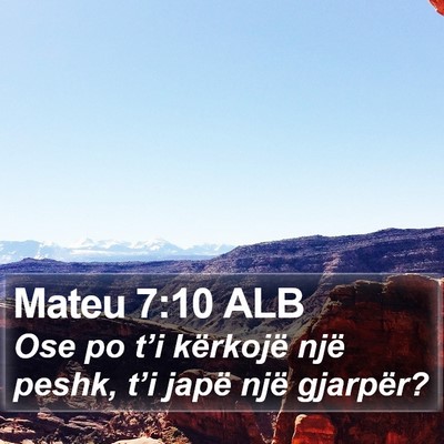 Mateu 7:10 ALB Bible Verse Image