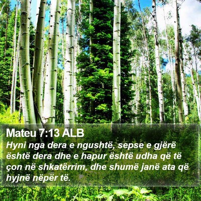 Mateu 7:13 ALB Bible Verse Image