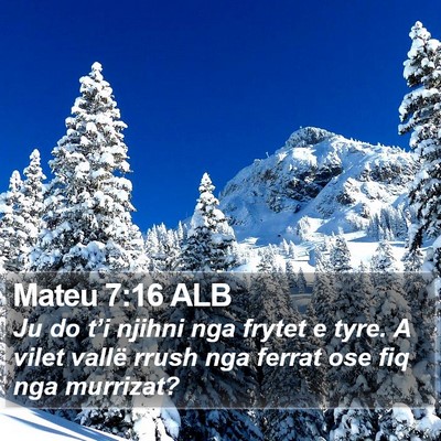 Mateu 7:16 ALB Bible Verse Image