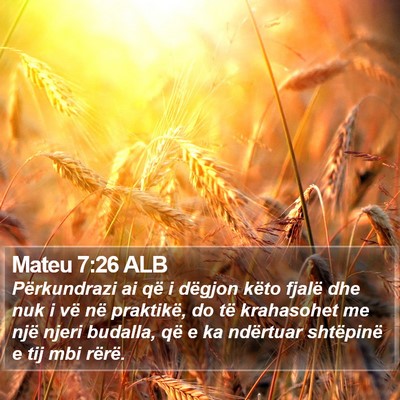 Mateu 7:26 ALB Bible Verse Image