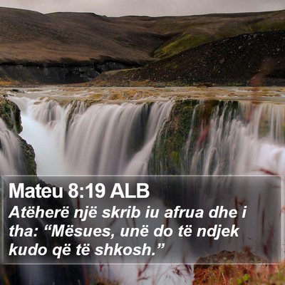 Mateu 8:19 ALB Bible Verse Image