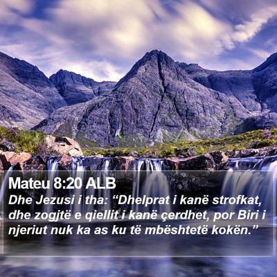 Mateu 8:20 ALB Bible Verse Image