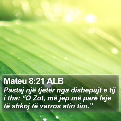 Mateu 8:21 ALB Bible Verse Image