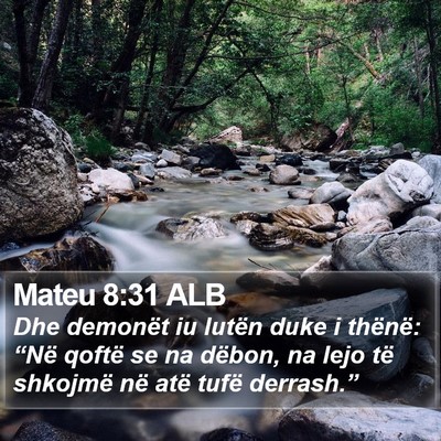 Mateu 8:31 ALB Bible Verse Image