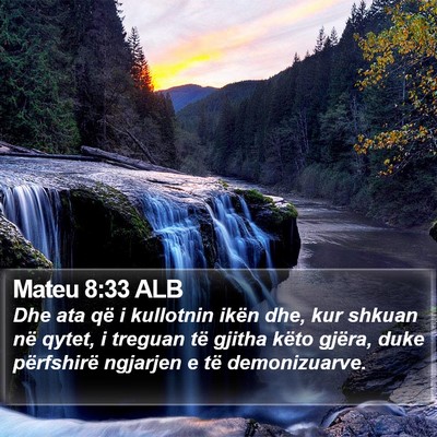 Mateu 8:33 ALB Bible Verse Image