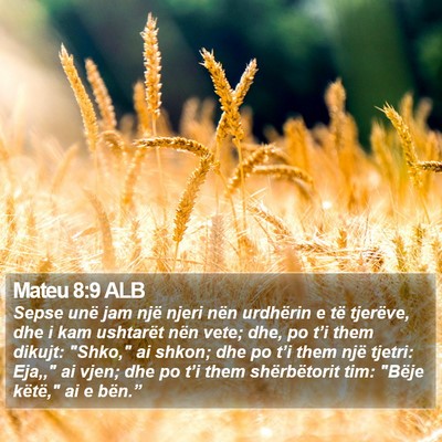 Mateu 8:9 ALB Bible Verse Image