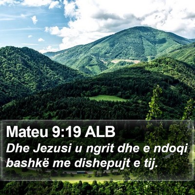 Mateu 9:19 ALB Bible Verse Image