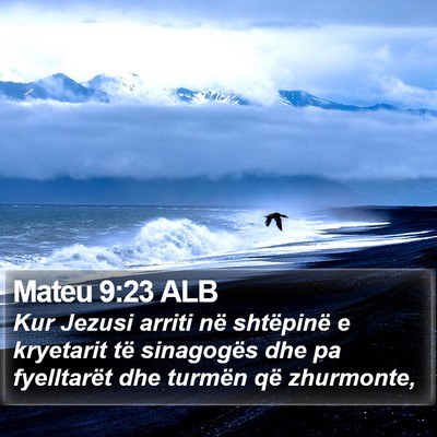Mateu 9:23 ALB Bible Verse Image