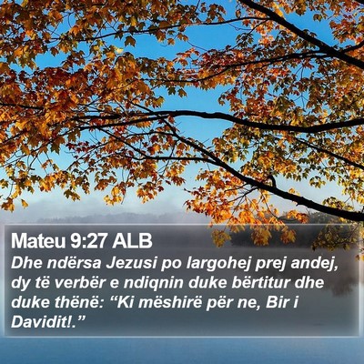 Mateu 9:27 ALB Bible Verse Image