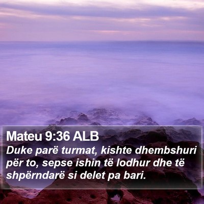 Mateu 9:36 ALB Bible Verse Image