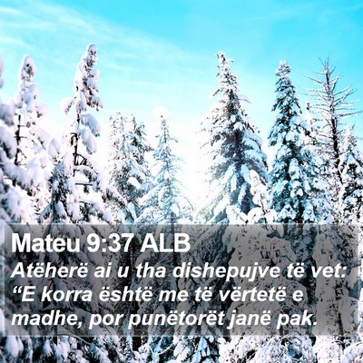 Mateu 9:37 ALB Bible Verse Image