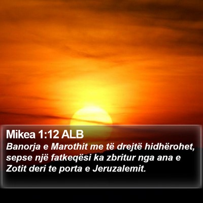 Mikea 1:12 ALB Bible Verse Image