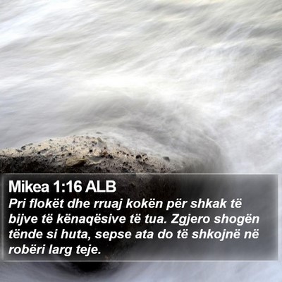 Mikea 1:16 ALB Bible Verse Image