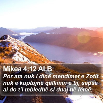 Mikea 4:12 ALB Bible Verse Image
