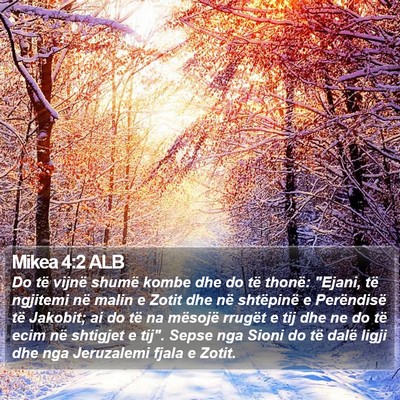 Mikea 4:2 ALB Bible Verse Image