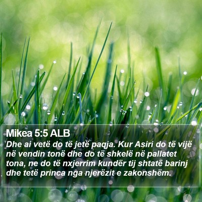 Mikea 5:5 ALB Bible Verse Image
