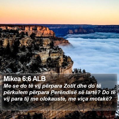Mikea 6:6 ALB Bible Verse Image
