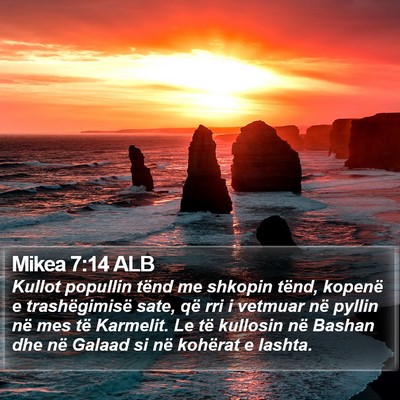 Mikea 7:14 ALB Bible Verse Image