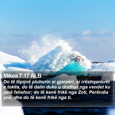 Mikea 7:17 ALB Bible Verse Image