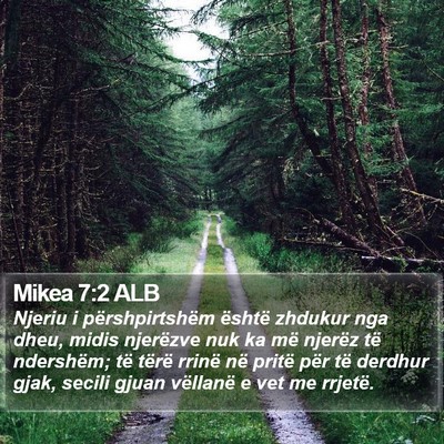 Mikea 7:2 ALB Bible Verse Image