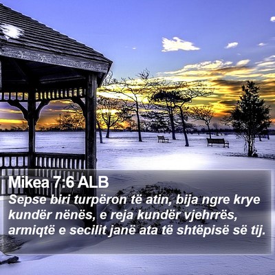 Mikea 7:6 ALB Bible Verse Image