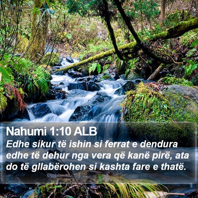Nahumi 1:10 ALB Bible Verse Image