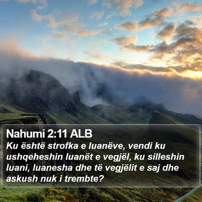 Nahumi 2:11 ALB Bible Verse Image