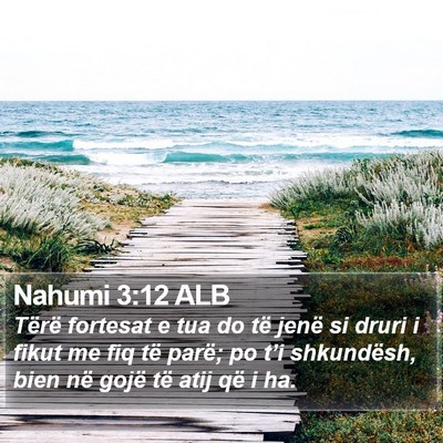 Nahumi 3:12 ALB Bible Verse Image