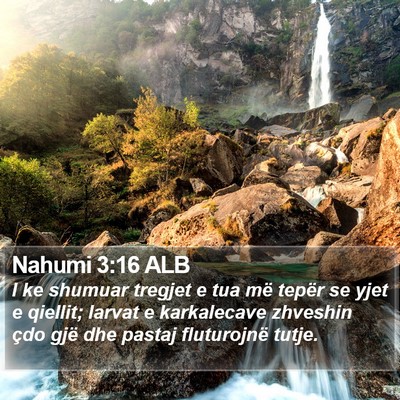 Nahumi 3:16 ALB Bible Verse Image