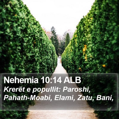 Nehemia 10:14 ALB Bible Verse Image