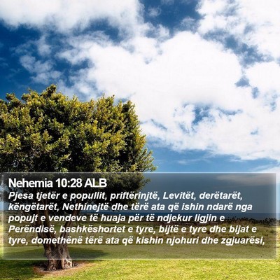 Nehemia 10:28 ALB Bible Verse Image