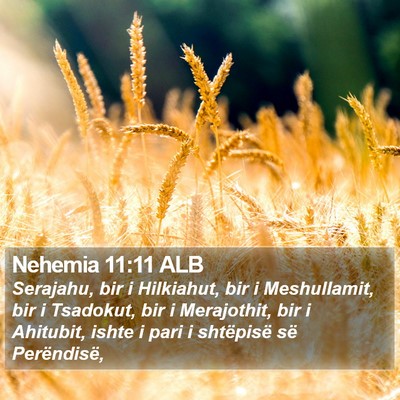 Nehemia 11:11 ALB Bible Verse Image