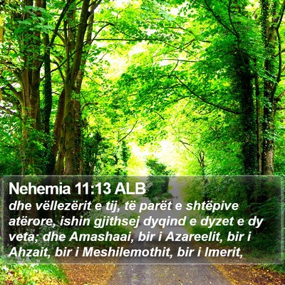 Nehemia 11:13 ALB Bible Verse Image