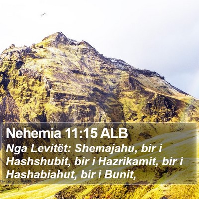 Nehemia 11:15 ALB Bible Verse Image