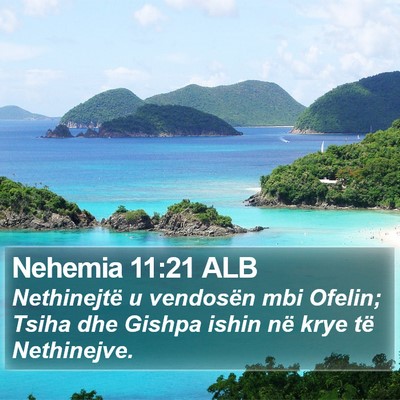 Nehemia 11:21 ALB Bible Verse Image