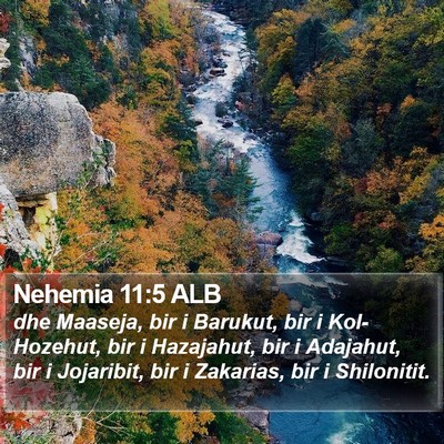 Nehemia 11:5 ALB Bible Verse Image