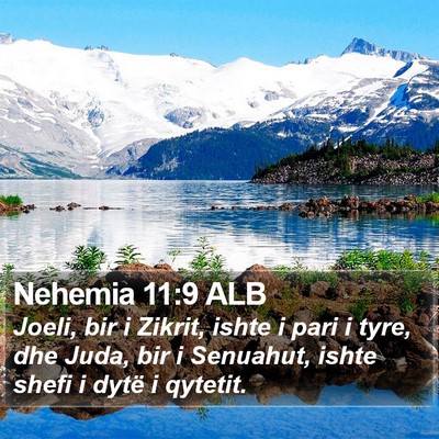 Nehemia 11:9 ALB Bible Verse Image
