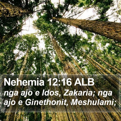Nehemia 12:16 ALB Bible Verse Image