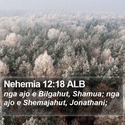 Nehemia 12:18 ALB Bible Verse Image
