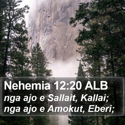 Nehemia 12:20 ALB Bible Verse Image