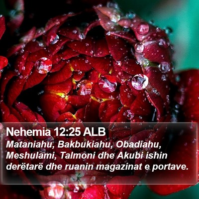 Nehemia 12:25 ALB Bible Verse Image