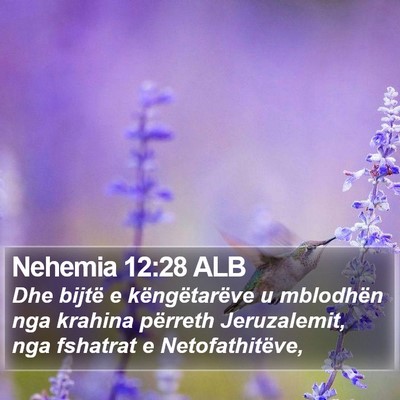 Nehemia 12:28 ALB Bible Verse Image