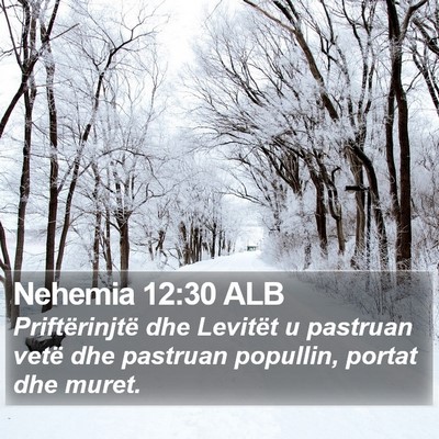 Nehemia 12:30 ALB Bible Verse Image