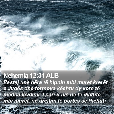 Nehemia 12:31 ALB Bible Verse Image