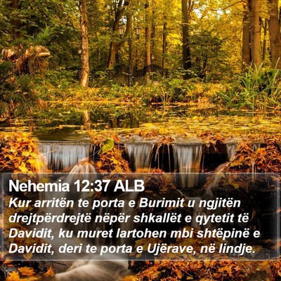 Nehemia 12:37 ALB Bible Verse Image