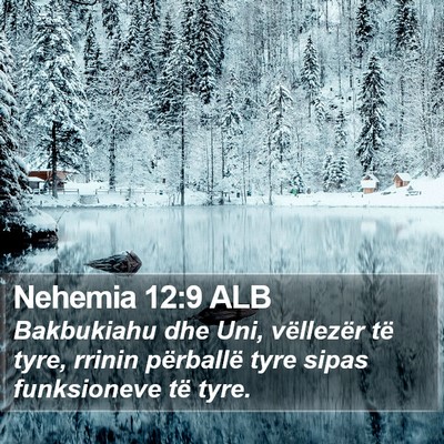 Nehemia 12:9 ALB Bible Verse Image
