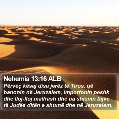 Nehemia 13:16 ALB Bible Verse Image