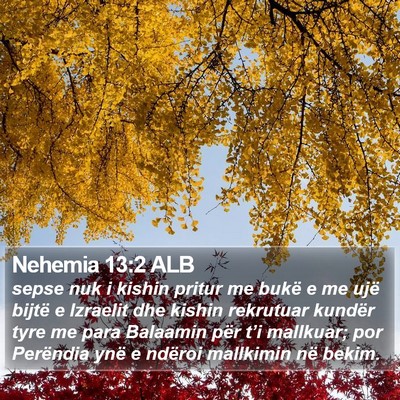 Nehemia 13:2 ALB Bible Verse Image