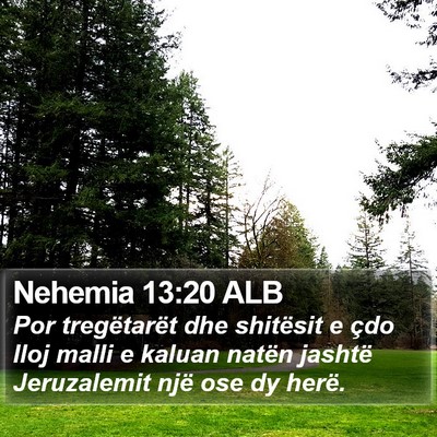 Nehemia 13:20 ALB Bible Verse Image