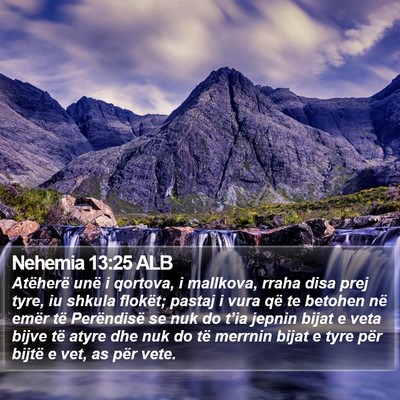 Nehemia 13:25 ALB Bible Verse Image